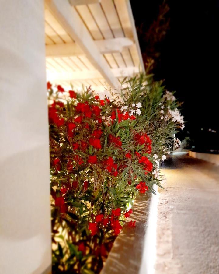 Maroulis Studios Mikri Vigla Exterior photo